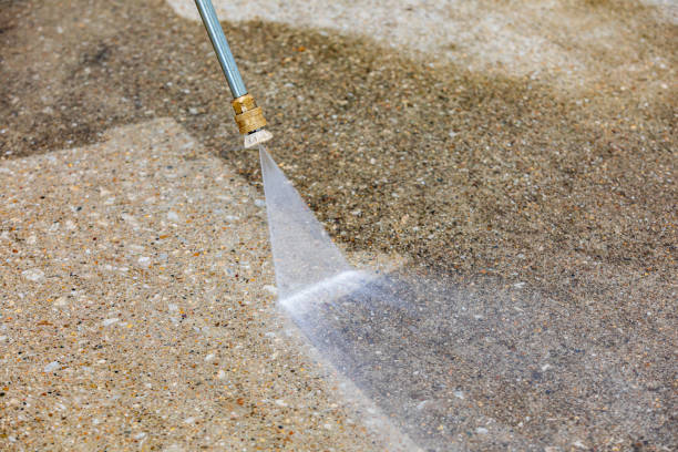 Best Driveway Pressure Washing  in Azalea Park, FL